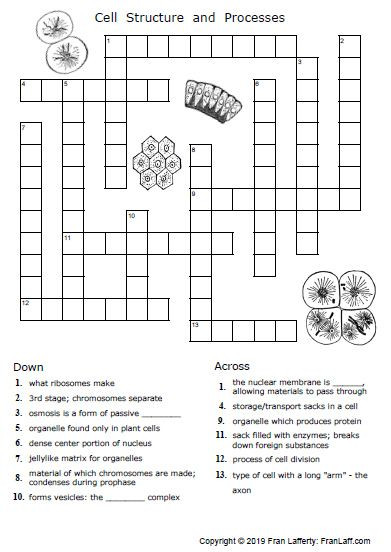 Free Printable Biology Worksheets 90 Pages Of Science