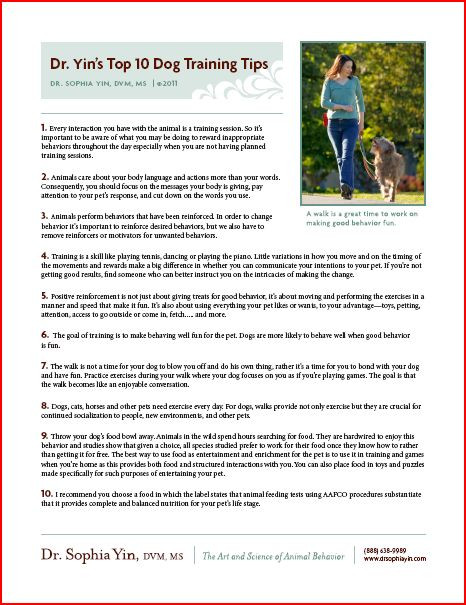 Free Printable Dog Training Worksheets Free Downloads Posters Handouts and More – Dr sophia Yin