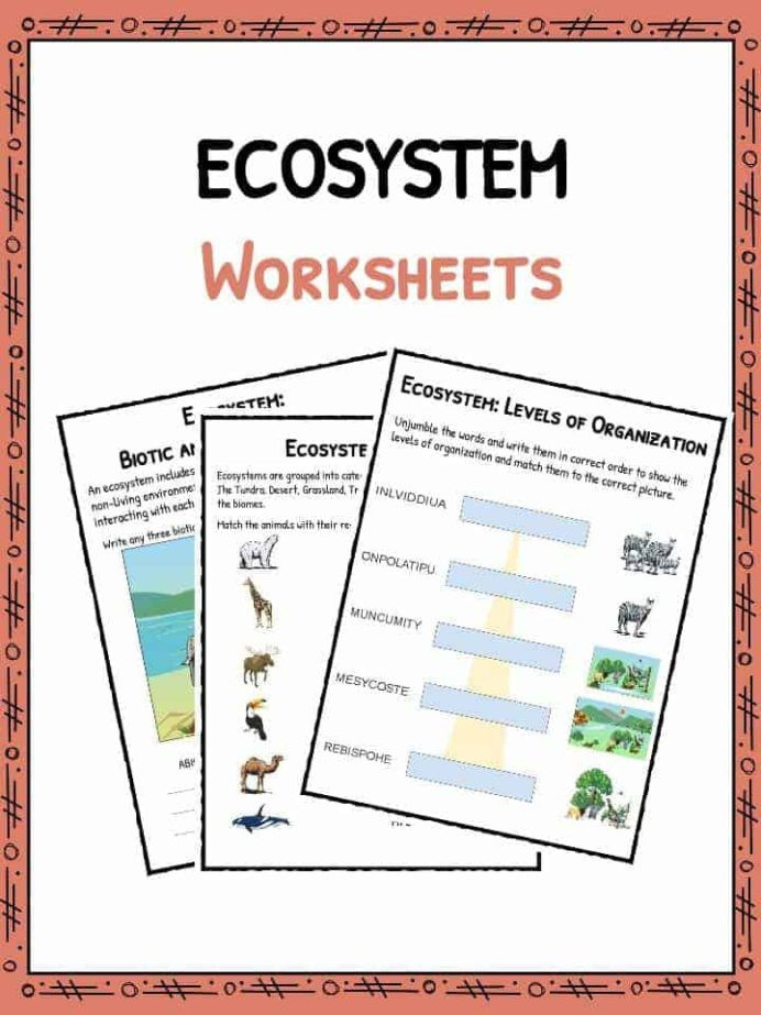 Free Printable Ecosystem Worksheets Ecosystem Worksheets Biotic Abiotic Lesson Resources Free
