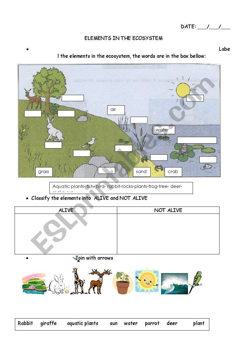 Free Printable Ecosystem Worksheets Elements In the Ecosystem Esl Worksheet by Carucha