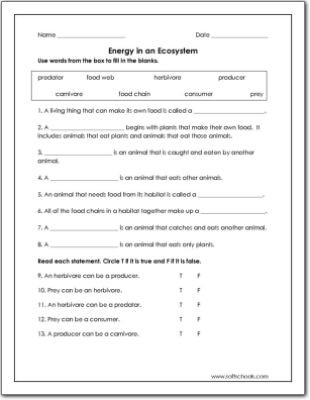 Free Printable Ecosystem Worksheets Energy In An Ecosystem Worksheet