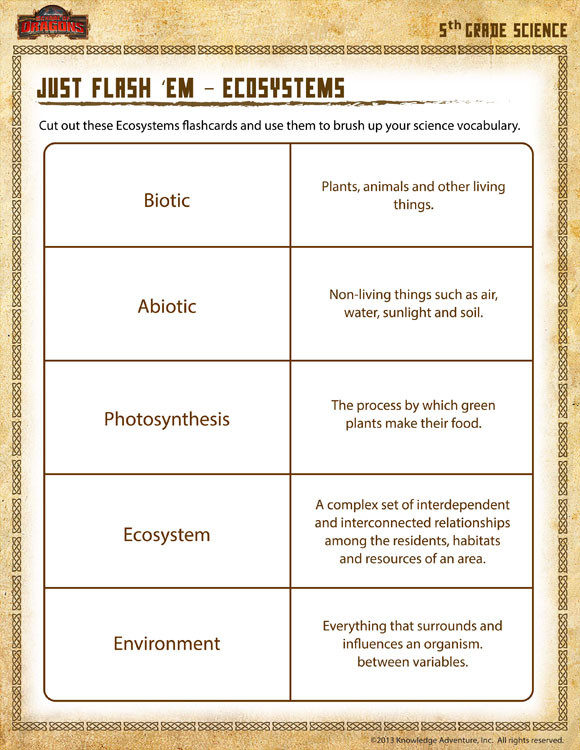 Free Printable Ecosystem Worksheets Just Flash Em Ecosystems View – 5th Grade Worksheet – sod