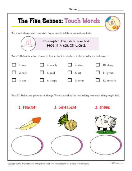 Free Printable Five Senses Worksheets Five Senses Activity for Kindergarten and 1st Grade