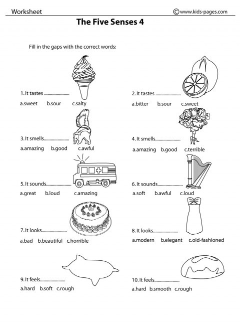 Free Printable Five Senses Worksheets the Five Senses 4 B&amp;w Worksheet