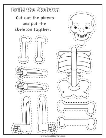 Free Printable Human Anatomy Worksheets Human Body Worksheets Itsy Bitsy Fun