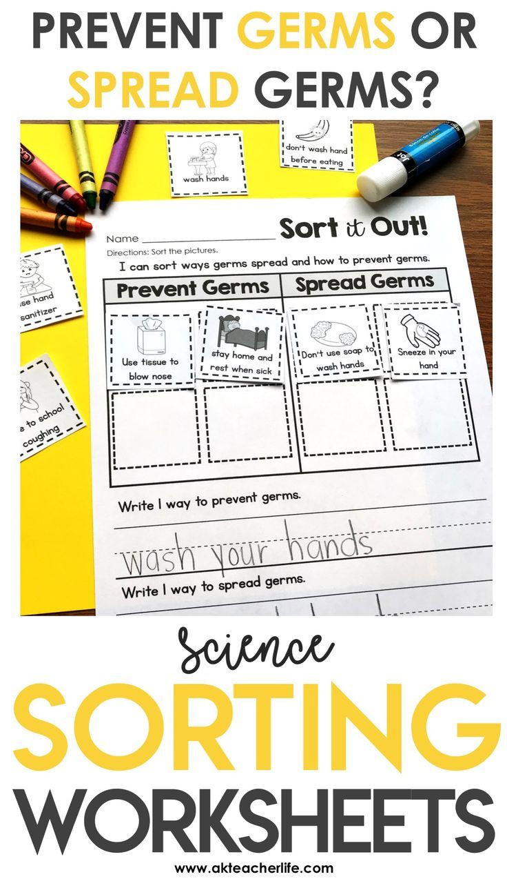 Germ Worksheets for First Grade Germs sort