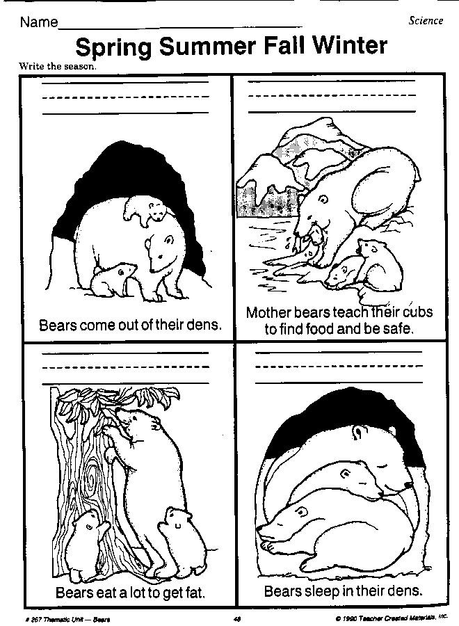 Hibernation Worksheet for Preschool Hibernation Worksheets Kindergarten &amp; Hibernation Worksheets