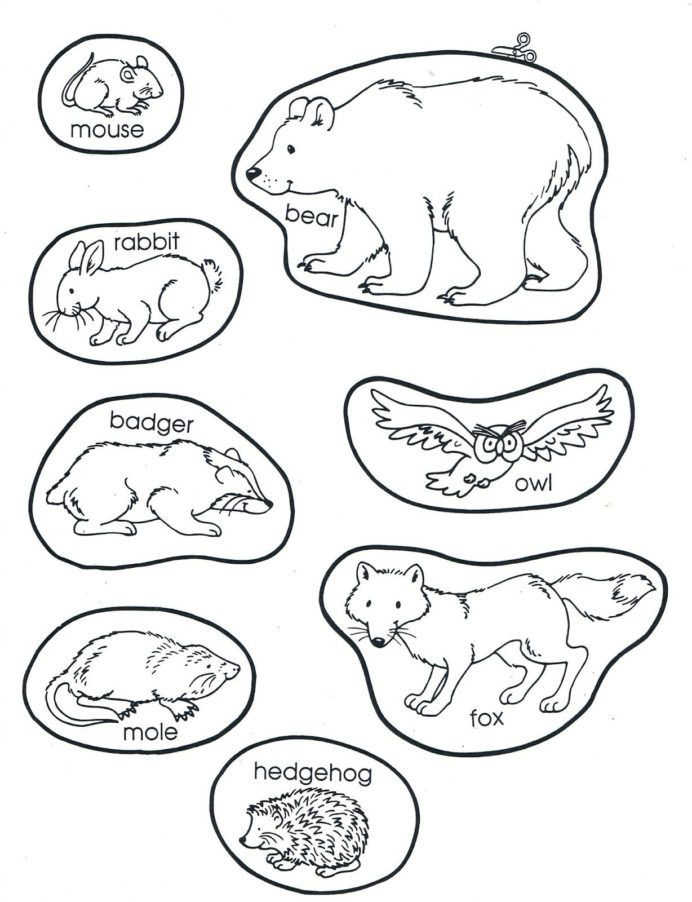 Hibernation Worksheet for Preschool the Mitten Animals Preschool Books Winter Kindergarten