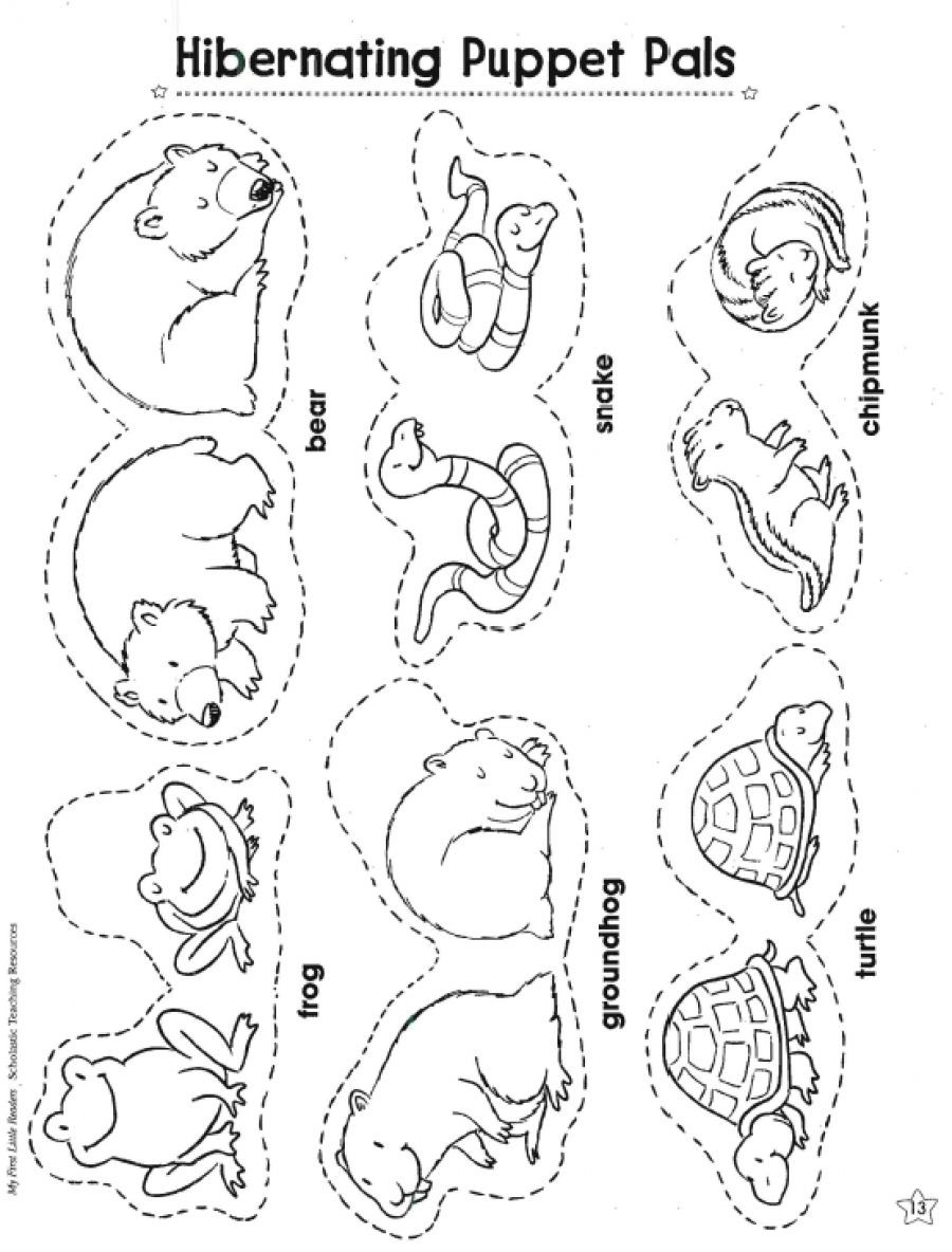 Hibernation Worksheets for Preschool Hibernating Animal Puppets