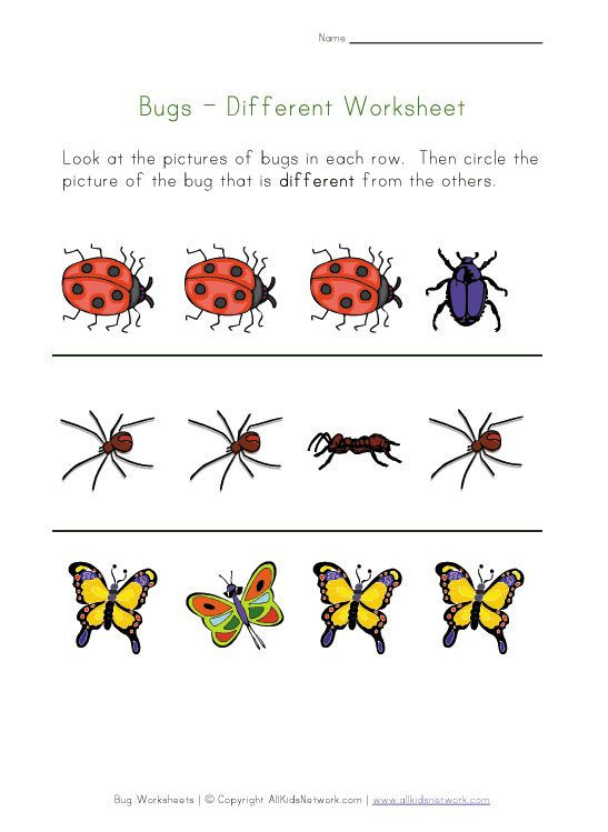 Insect Worksheets for Preschoolers Bugs Worksheet Recognize Different Insects