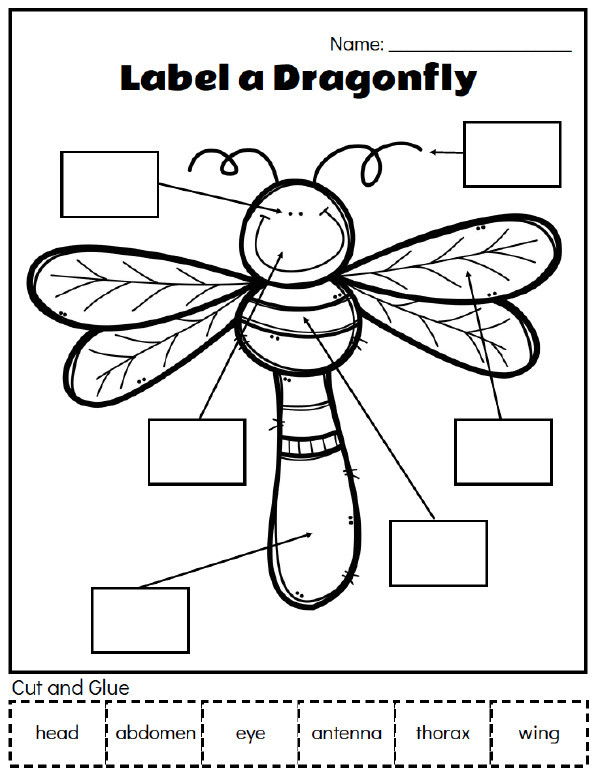 Insect Worksheets for Preschoolers Printable Preschool Bug Activities for Learning &amp; Fun