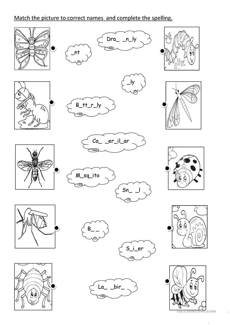 Insects Worksheets for Kindergarten Insects English Esl Worksheets for Distance Learning and
