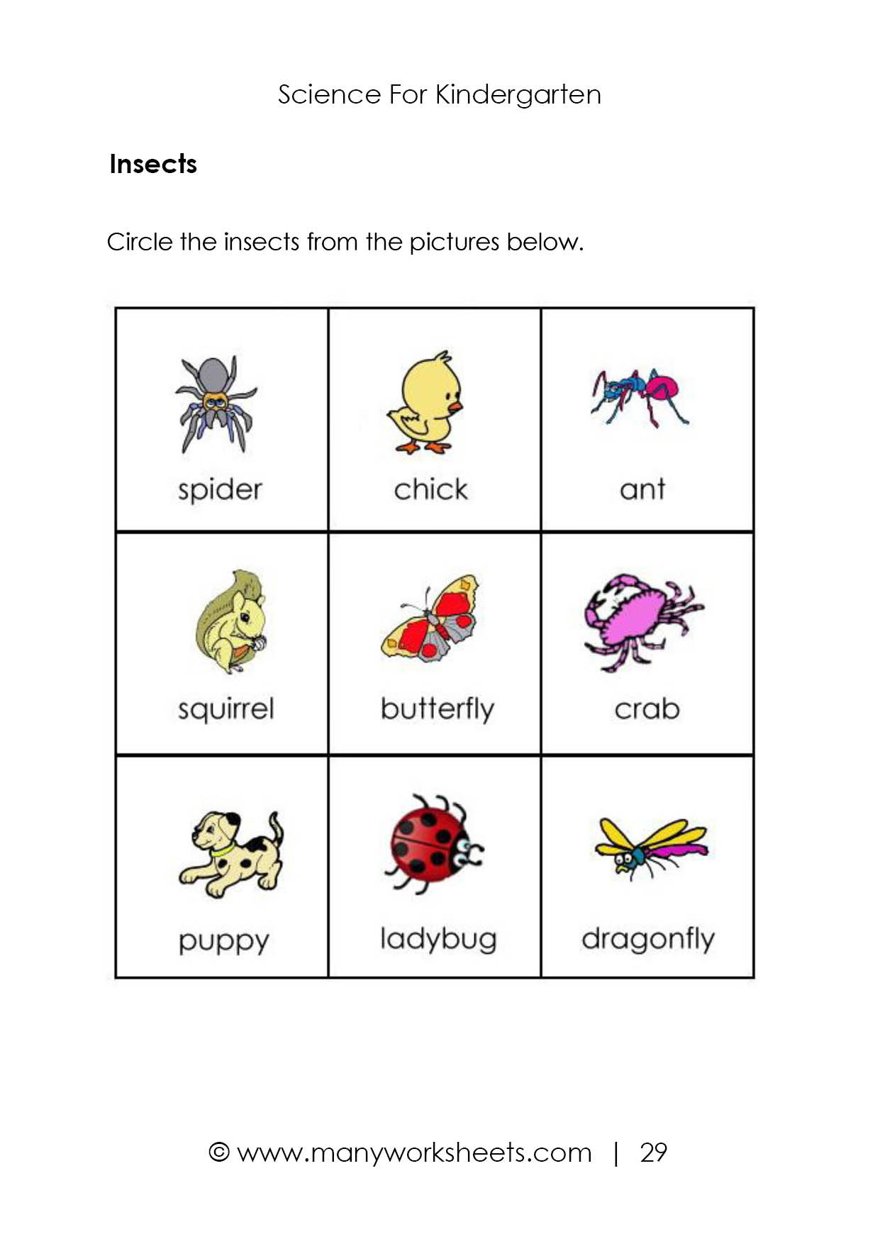 Insects Worksheets for Kindergarten Insects Worksheets for Kindergarten