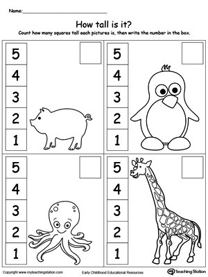 Kindergarten Measurement Worksheets Kindergarten Measurement Printable Worksheets