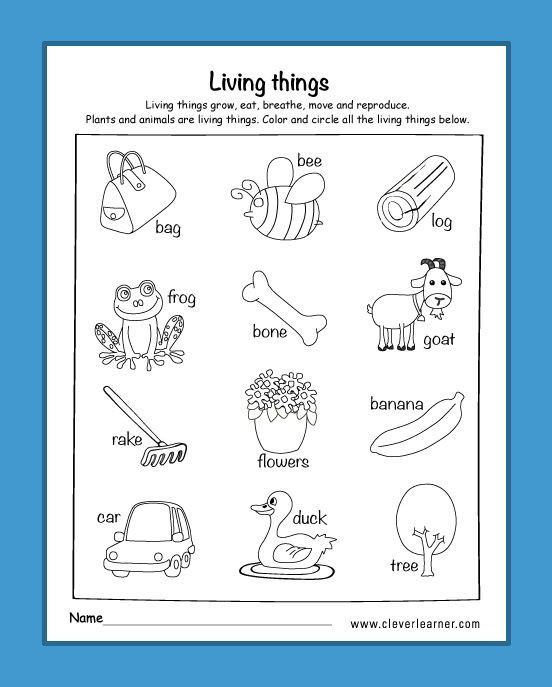 Kindergarten Science Worksheets Free Am I Living Worksheets for Kindergarten Livingthings