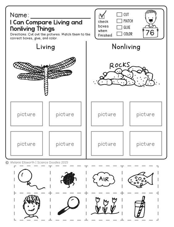 Kindergarten Science Worksheets Freebie No Prep Kindergarten Science Doodle Printables