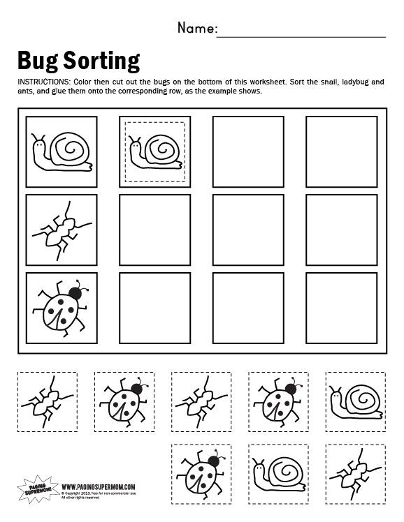 Kindergarten sorting Worksheets Bug sorting Worksheet