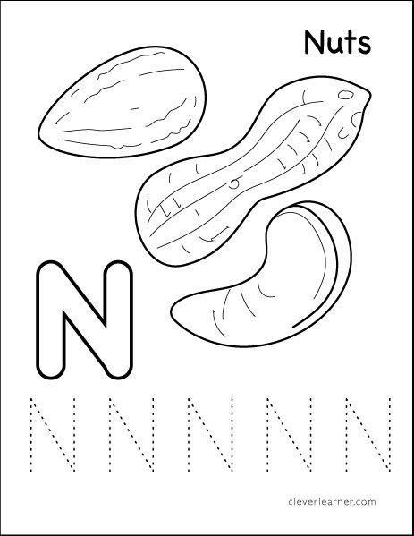 Letter N Preschool Worksheets N is for Nuts Tracing Activity Sheets