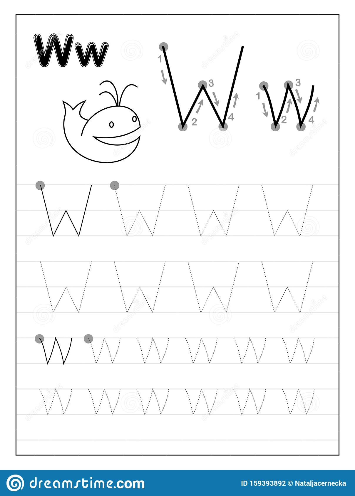 Letter W Worksheets for Preschoolers Tracing Alphabet Letter W Black and White Educational Pages