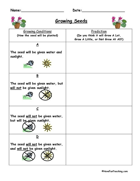 Making Predictions Worksheet 2nd Grade Growing Seeds Making Predictions Graphic organizer for 2nd