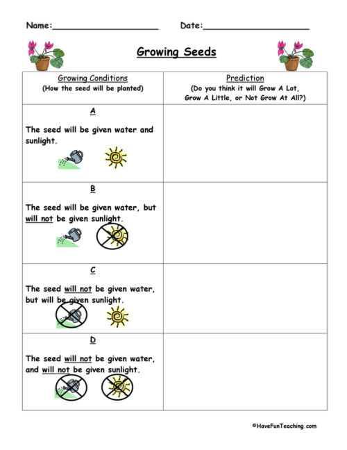 Making Predictions Worksheet 2nd Grade Predictions Worksheets • Have Fun Teaching