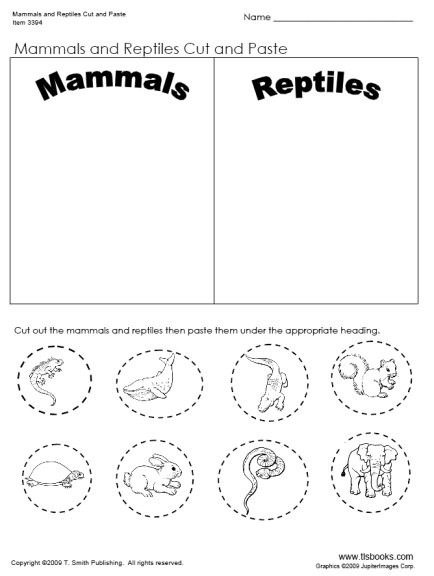 Mammal Worksheets First Grade Mammals and Reptiles Cut and Paste Worksheet