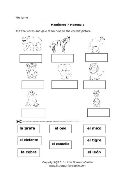 Mammal Worksheets for Kindergarten Mam­feros Mammals Worksheet for Kindergarten 2nd Grade