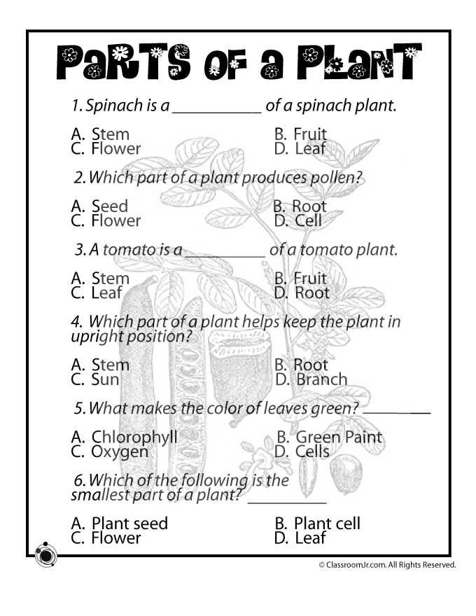 Money Worksheets 3rd Grade Do Plants Grow Plant Life Worksheets for Kids with