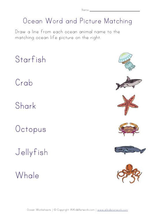 Oceans Worksheets for Kindergarten Ocean Life Picture Matching Worksheet