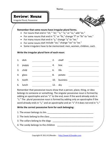 Plurals Worksheet 3rd Grade Nouns Review 2