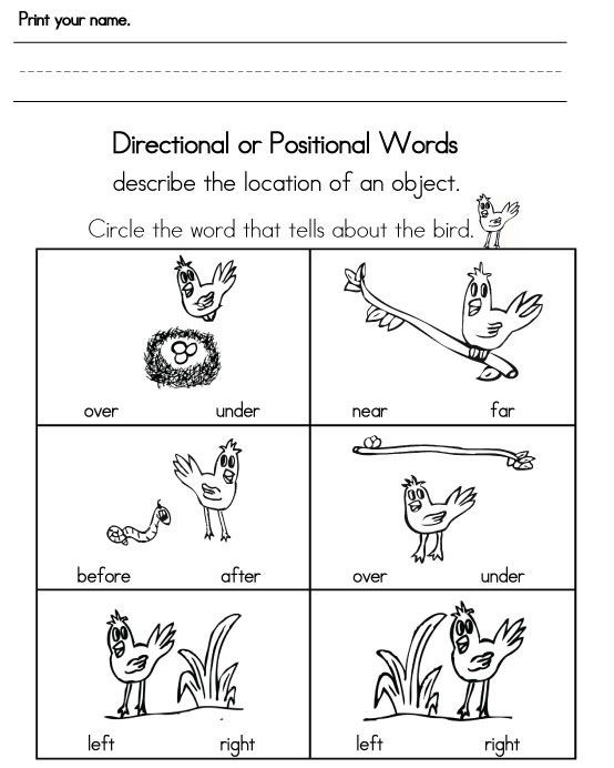 Positional Words Worksheet for Kindergarten Kindergarten Positional Words Worksheet