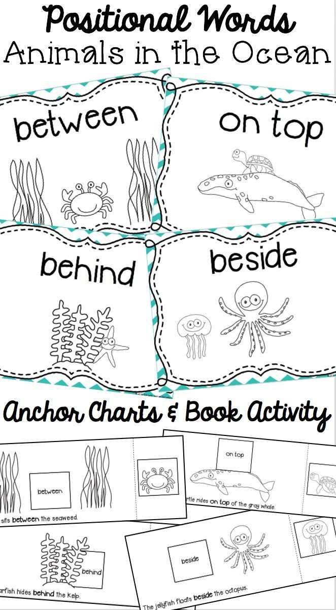 Positional Words Worksheets for Preschool Positional Words Book Animals In the Ocean