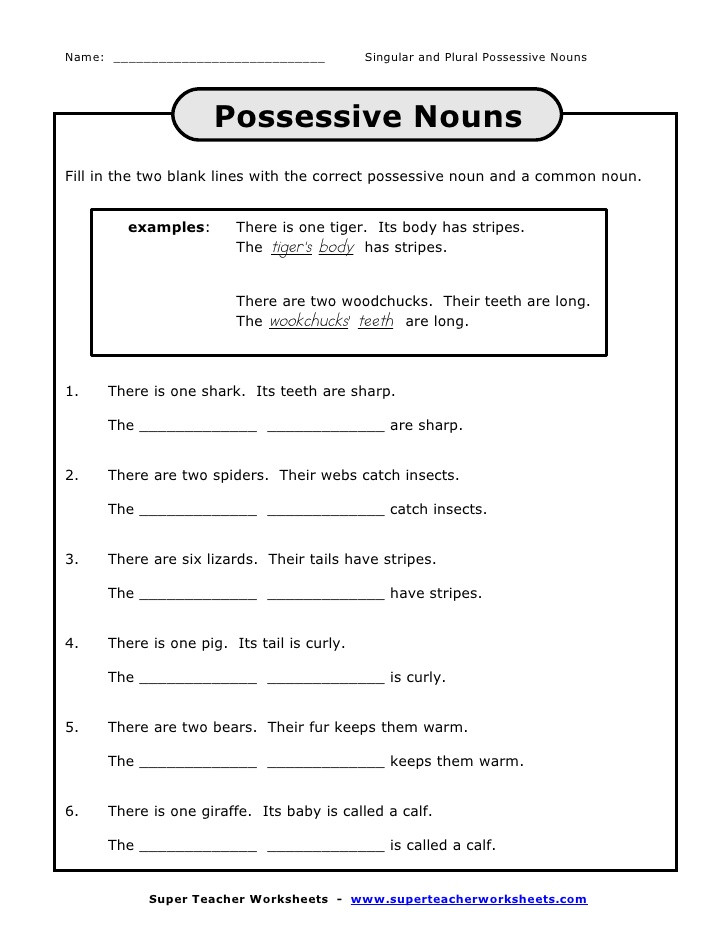 20 Possessive Pronoun Worksheet 3rd Grade Desalas Template