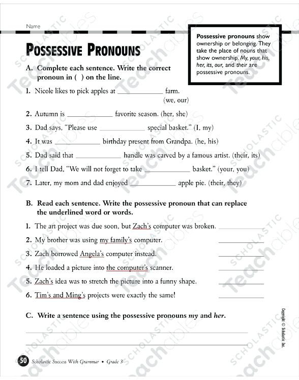 Possessive Pronouns Worksheet 3rd Grade