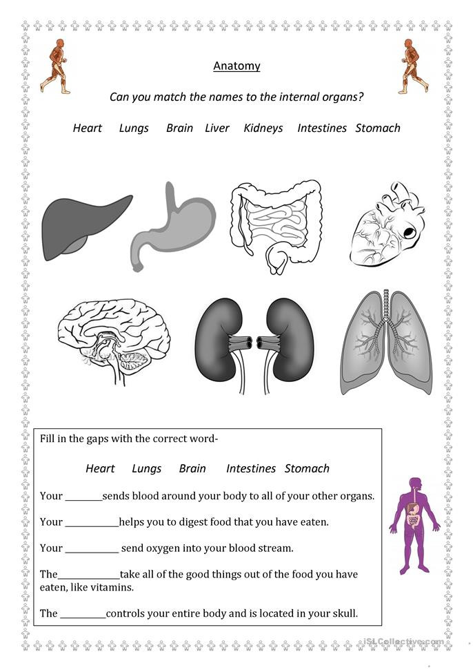 Printable Anatomy Worksheets 18 Collective Nouns Worksheets Emotions Worksheet Free