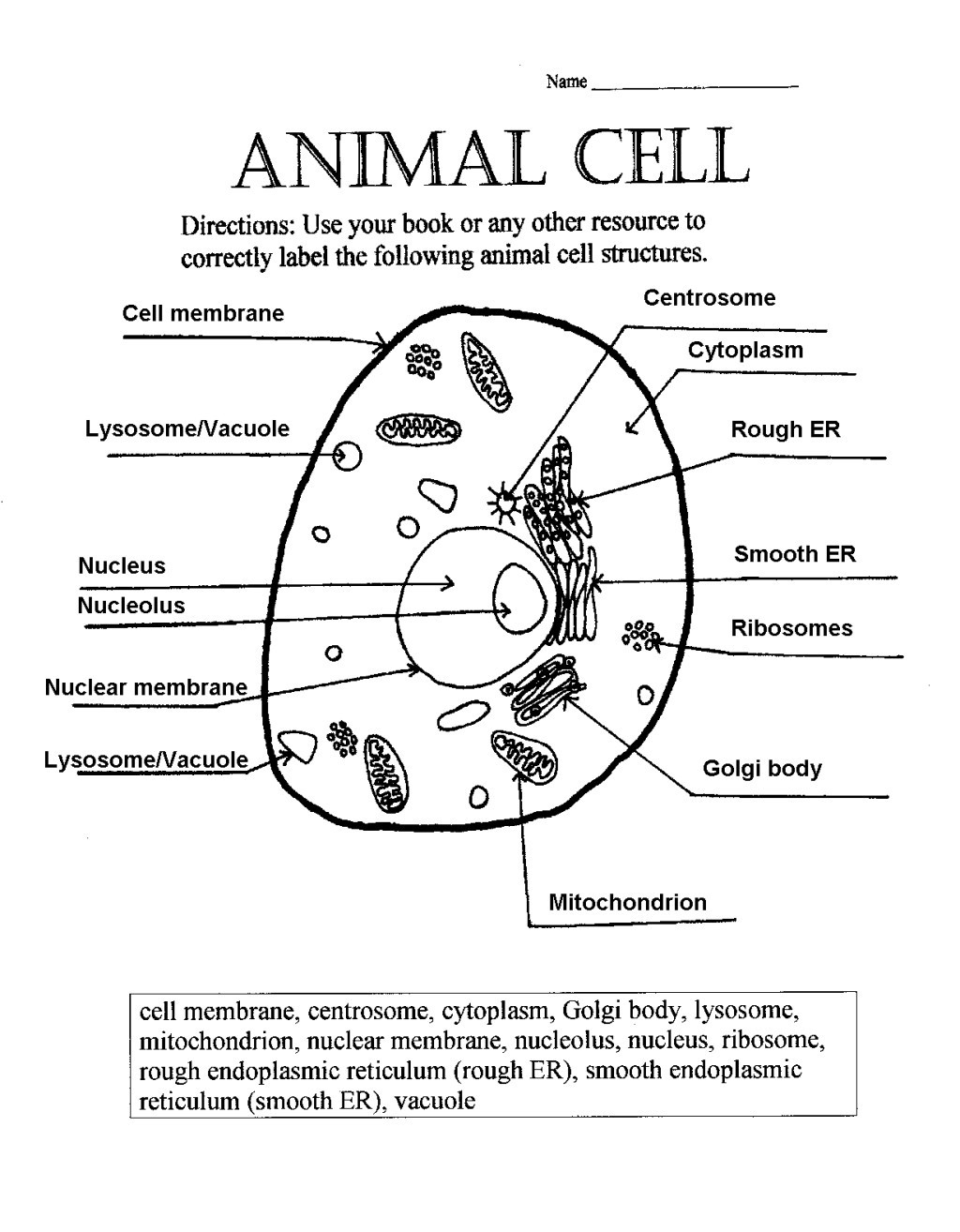 Printable Cell Worksheets Animal and Plant Cell Worksheet Answer Key