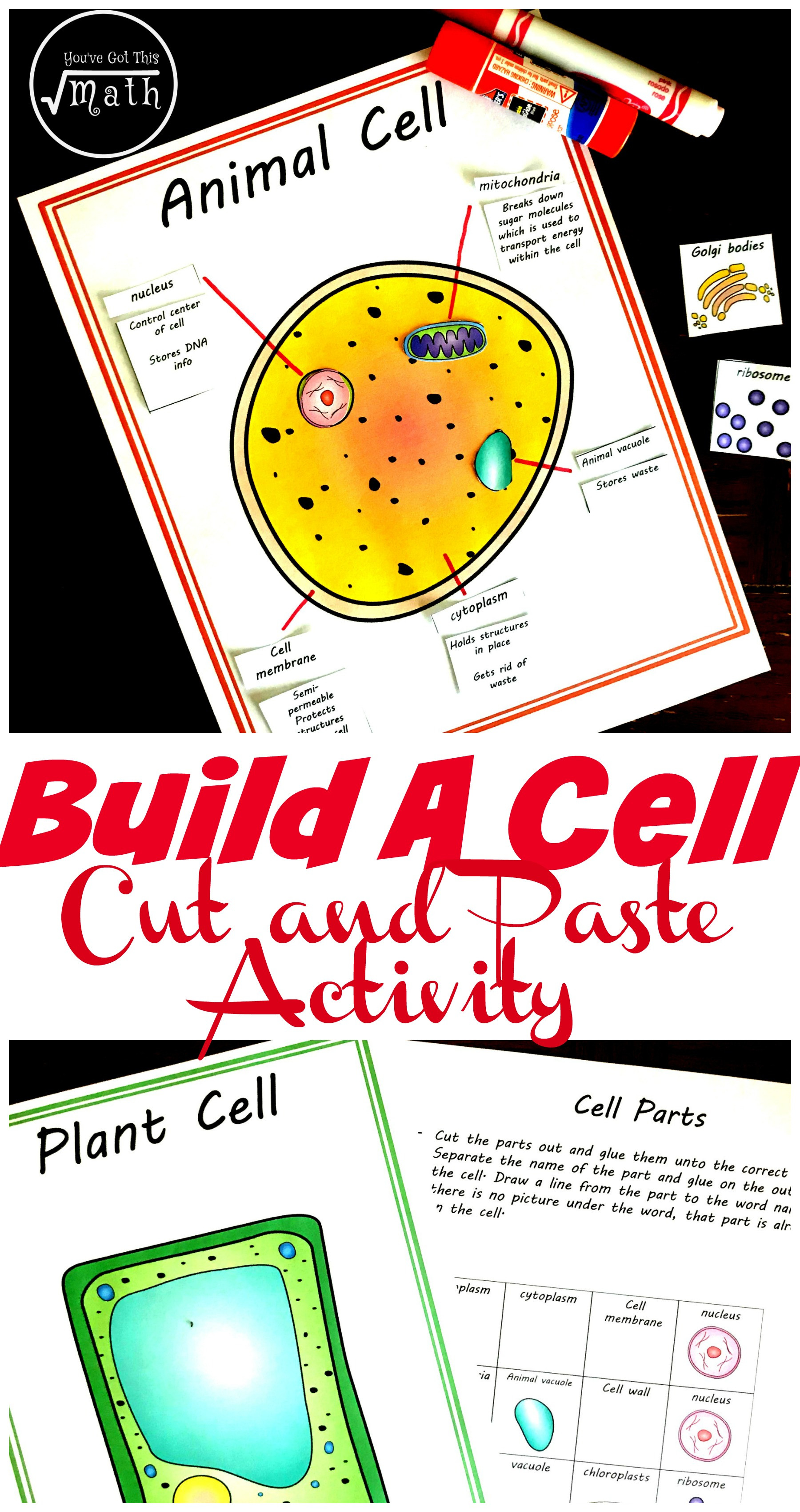 Printable Cell Worksheets Free Cut and Paste Animal and Plant Cell Worksheet
