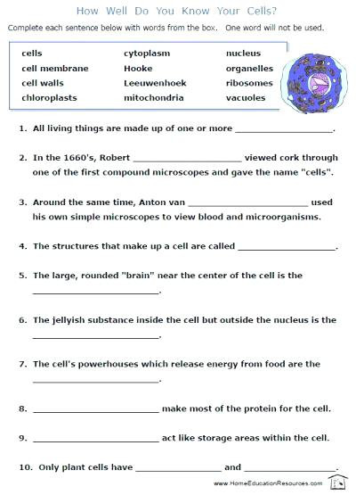 Printable Cell Worksheets Grade 7 Science Worksheets Ecosystem Crossword Free Grade
