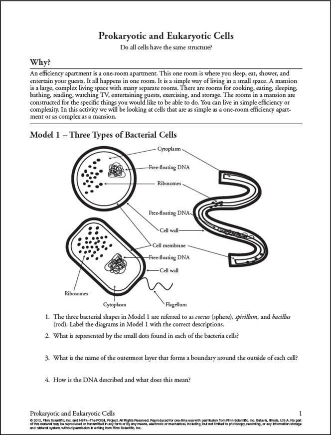 Printable Cell Worksheets Sample Pogil Activities Cells Worksheet Prokaryotes