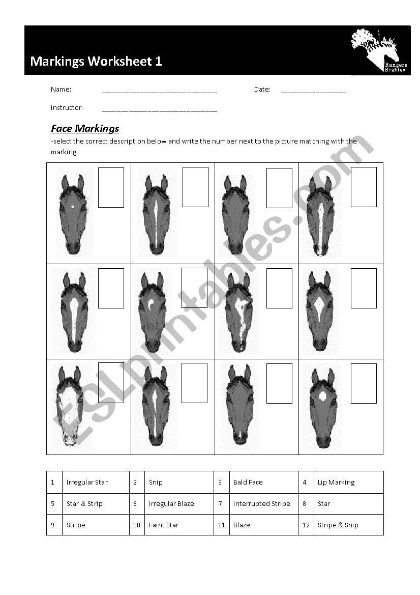 Printable Horse Anatomy Worksheets Best Horse Worksheets Printable
