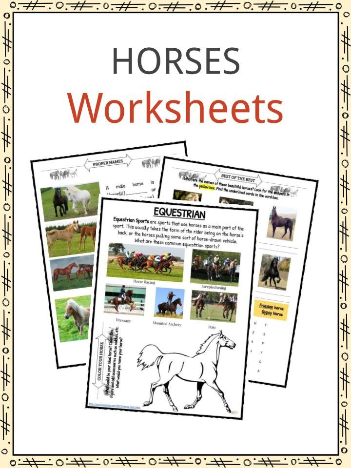 Printable Horse Anatomy Worksheets Horse Facts and Worksheets for Kids • Kidskonnect