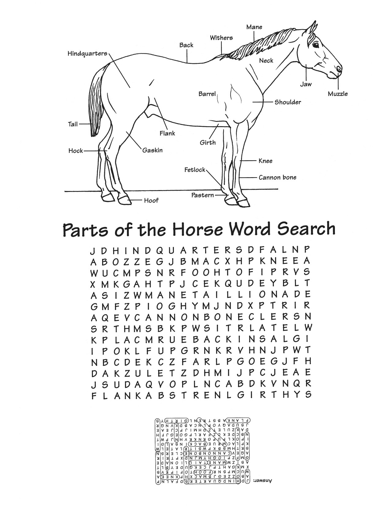 Printable Horse Anatomy Worksheets Horse Saddle Worksheet