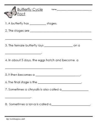 Science Worksheet 1st Grade Life Cycle Of A butterfly Facts Worksheets