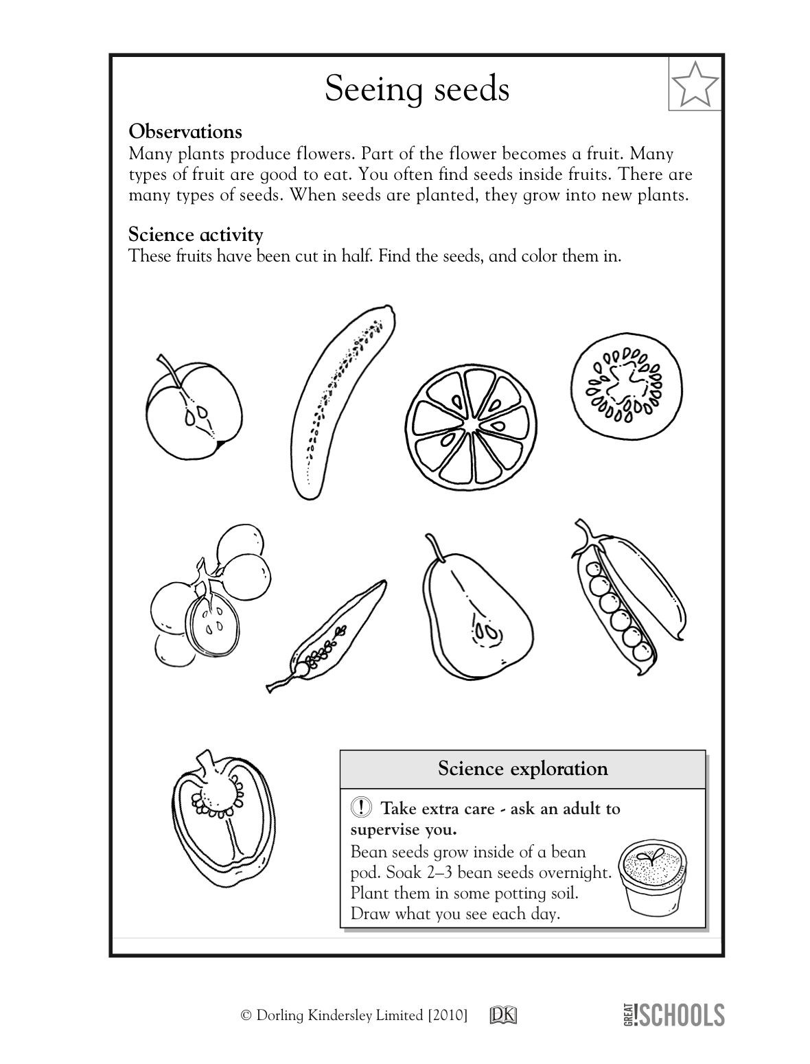 Science Worksheet 1st Grade Pin by Lilsunflower Coloring Pages