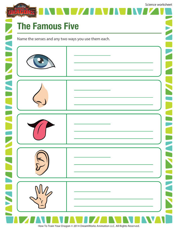 Science Worksheet 1st Grade the Famous Five Worksheet Resources for 1st Grade Kids sod