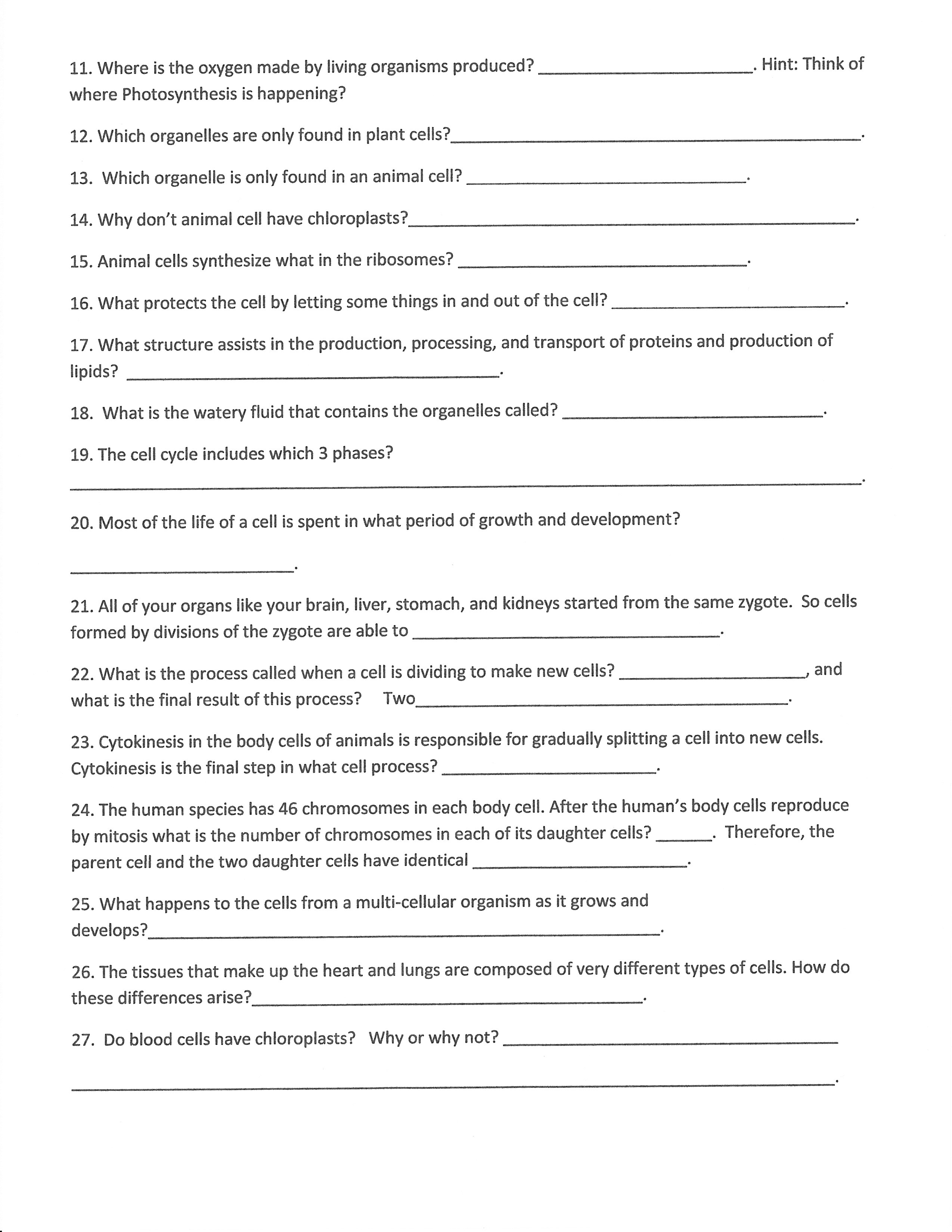 Science Worksheets for 7th Grade 7th Grade Chemistry Worksheets