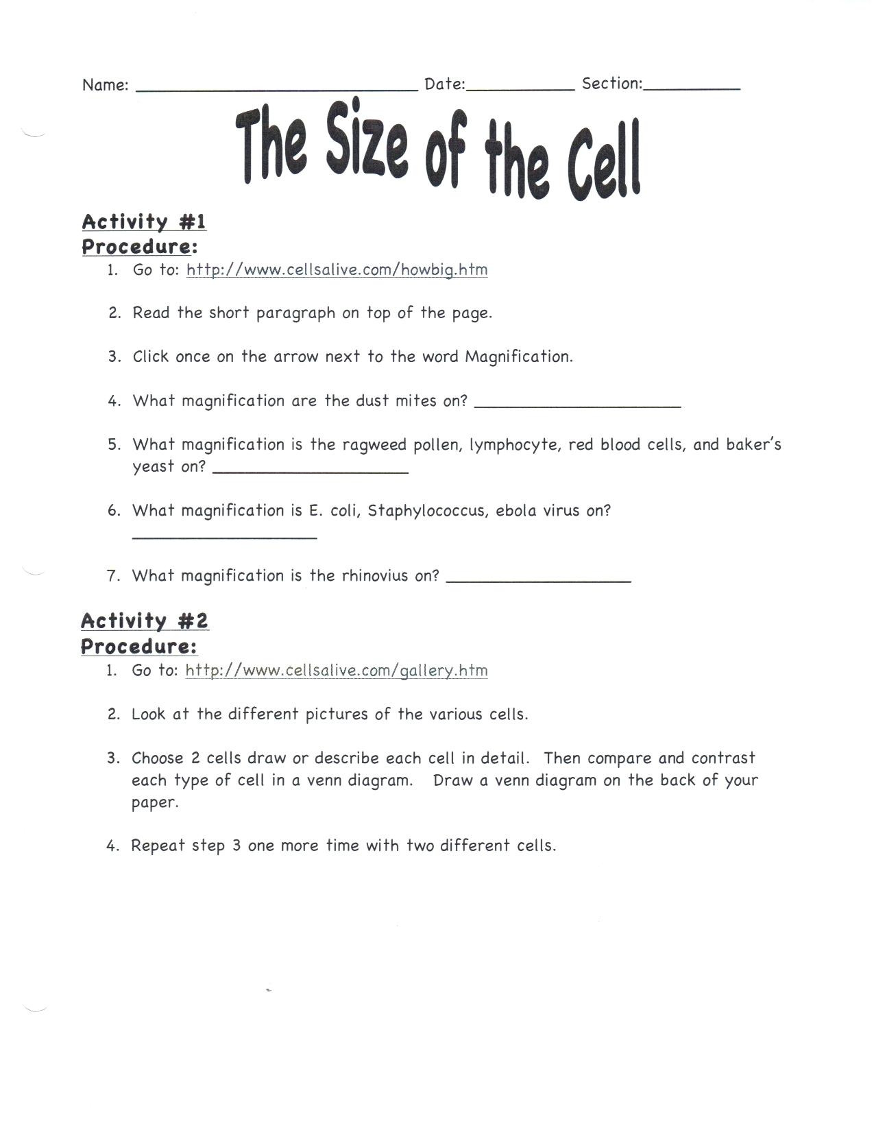 Science Worksheets for 8th Grade 7th Grade Science Worksheets Pdf