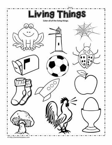 Science Worksheets for Kindergarten Free Circle the Living Things Worksheet