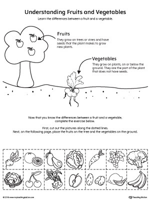 Science Worksheets for Kindergarten Free Understanding Fruits and Ve Ables