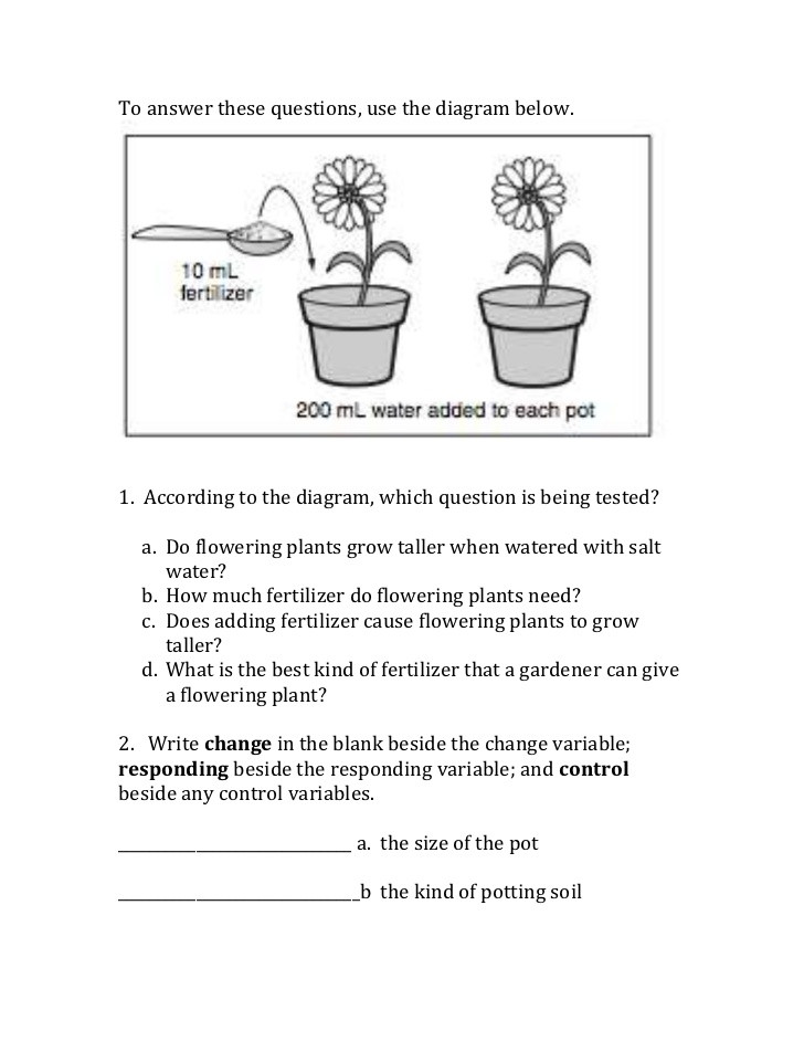 Scientific Method Worksheets 5th Grade Scientific Method Variables Worksheet